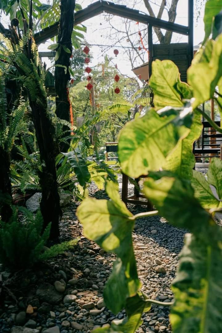 Harmony Garden - Home And Coffee Хуе Екстериор снимка