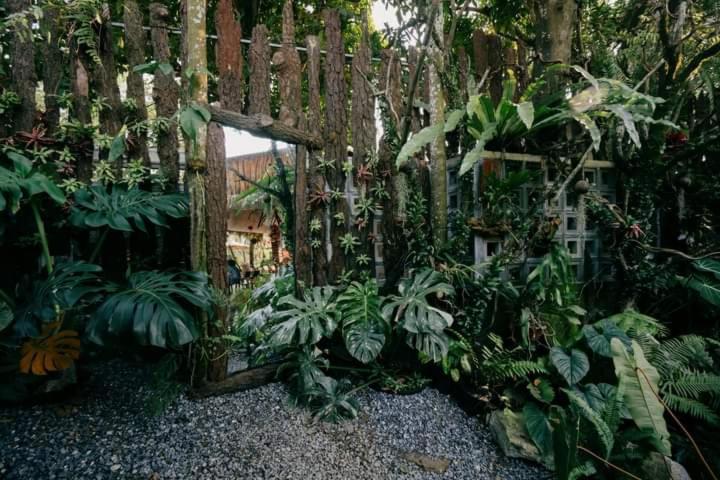 Harmony Garden - Home And Coffee Хуе Екстериор снимка